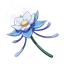 Glaze Lily