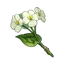 Qingxin