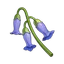 Violetgrass