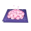 Sakura Bloom