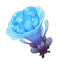 Sea Ganoderma