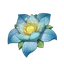 Kalpalata Lotus