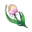 Rainbow Rose