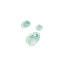 Slime Condensate
