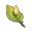 A Flower Yet to Bloom