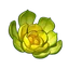 Primordial Greenbloom