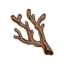 Coral Branch of a Distant Sea